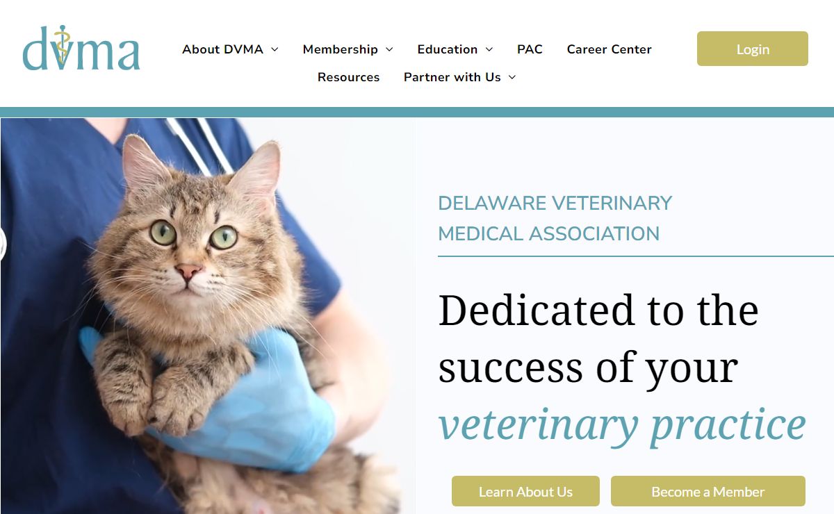 Delaware Veterinary Medical Association | Veterinary Professionals