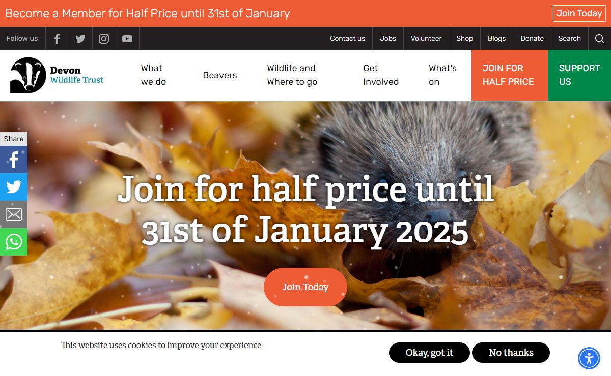 Homepage | Devon Wildlife Trust