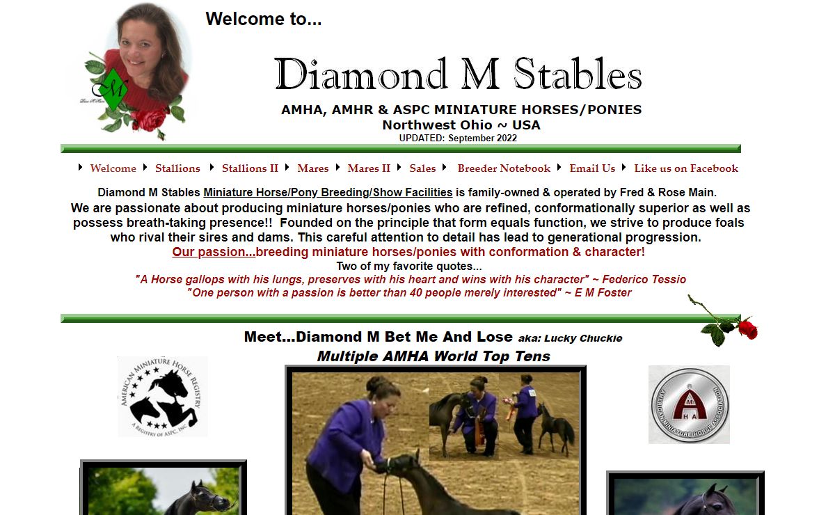 Diamond M Stables | Home Page