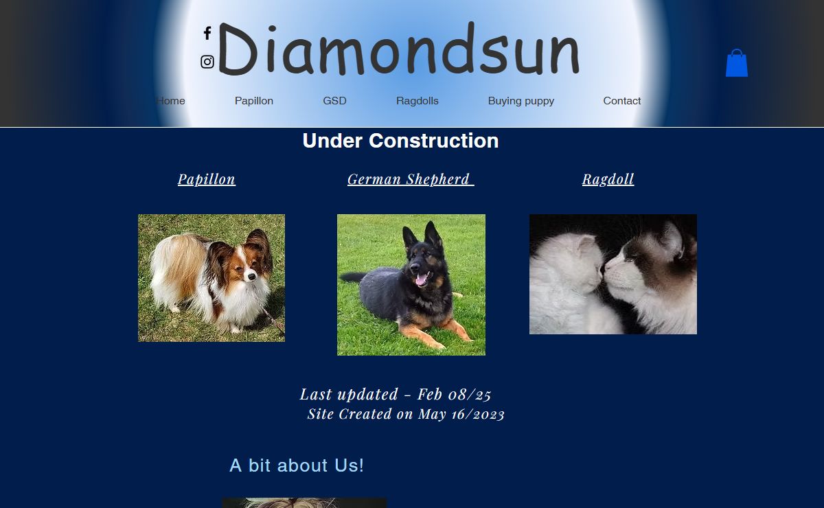 Diamondsun | Papillon