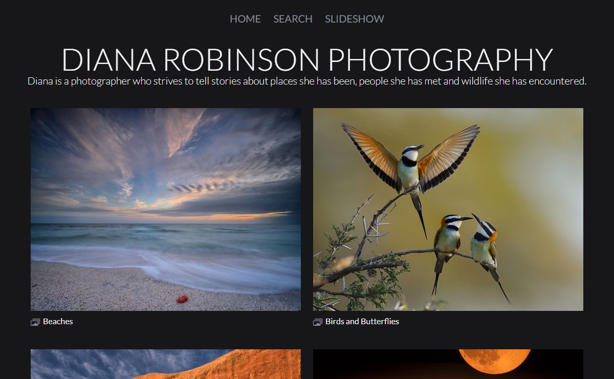 DianaRobinsonPhotography.com