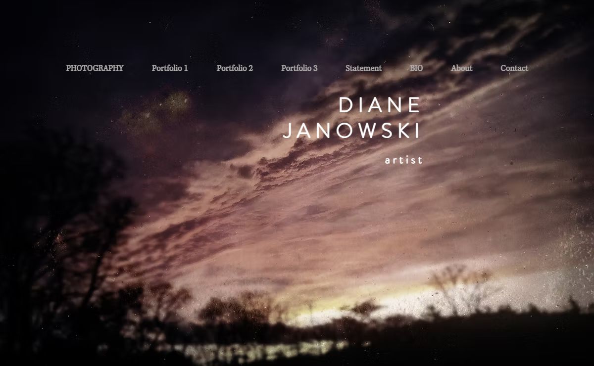 Diane Janowski - Artist