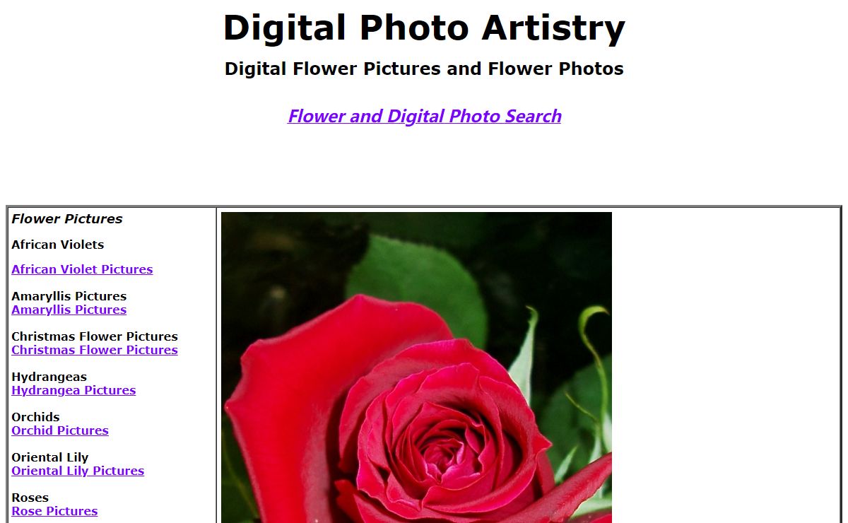 Flower Pictures and Flower Photos by Digital Photo Artistry