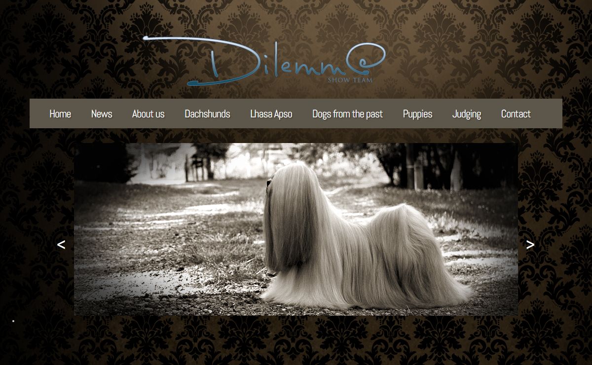 .: Dilemma Show Team :.