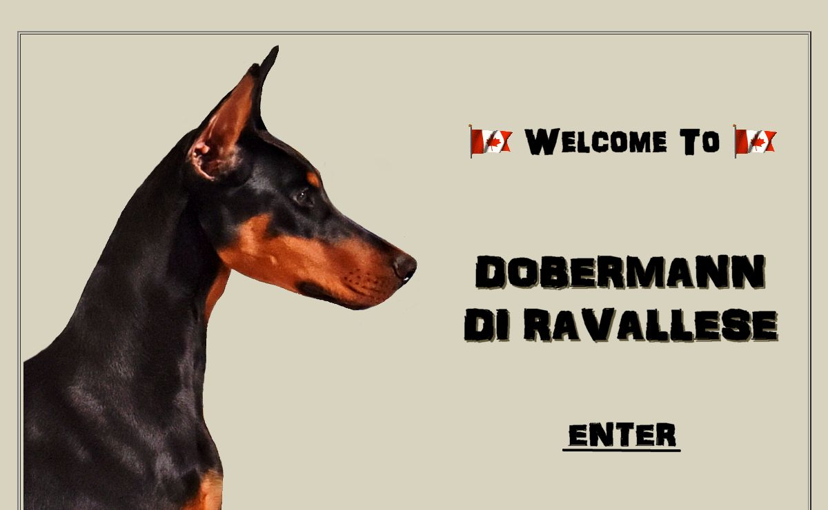 DOBERMANN DI RAVALLESE