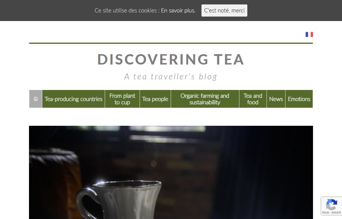 Discovering Tea