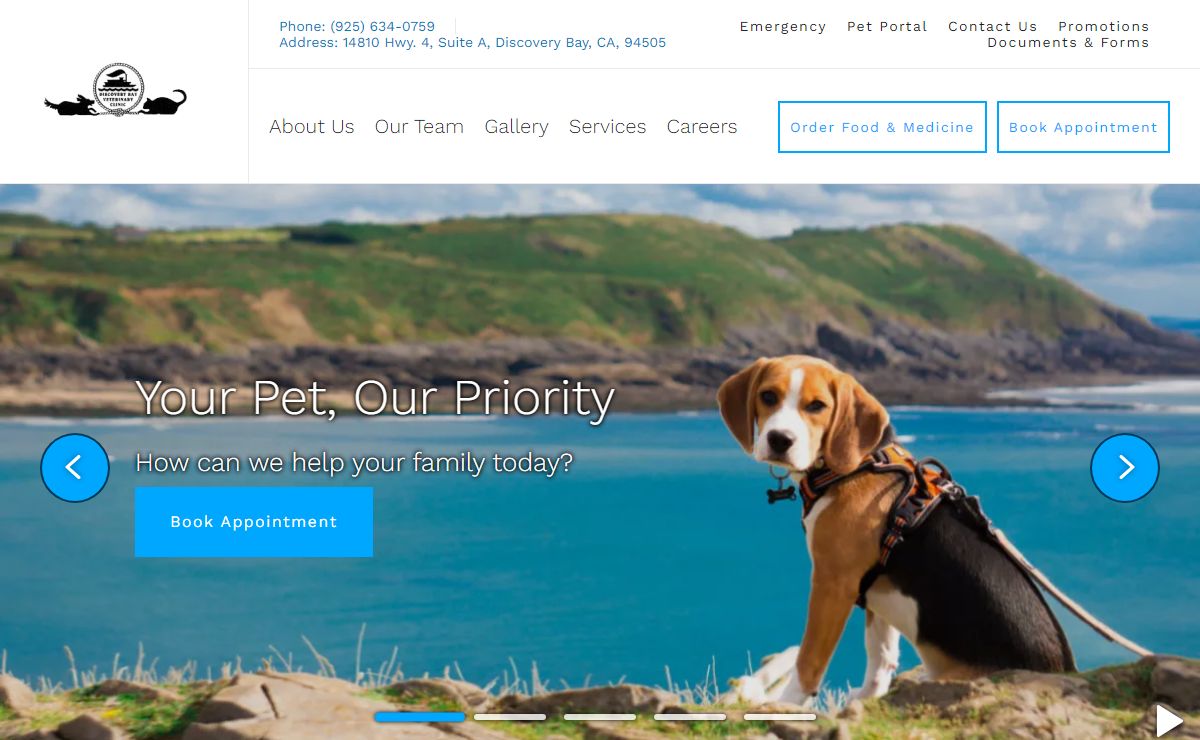 Homepage | Discovery Bay Veterinary Clinic