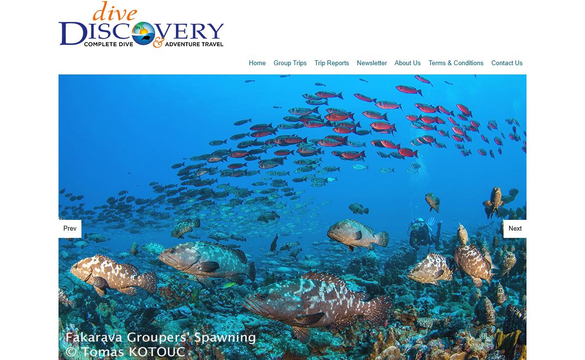 Dive Discovery - Scuba Diving Vacation, Dive Travel Specialist