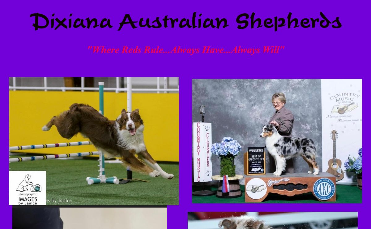 Dixiana Australian Shepherds