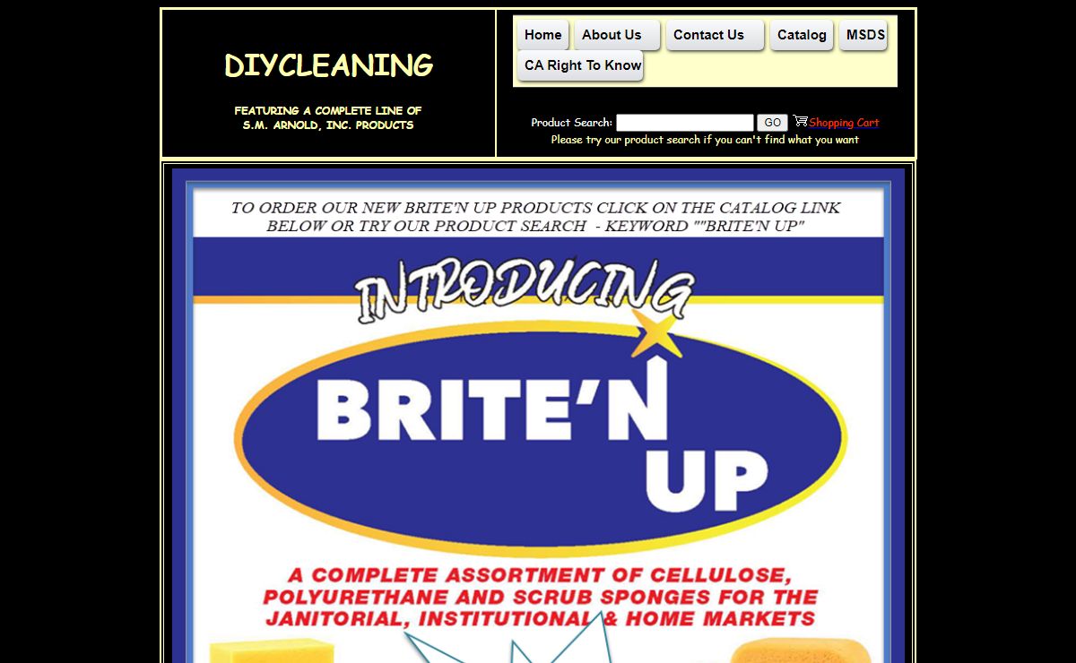 DIY Cleaning.com home page