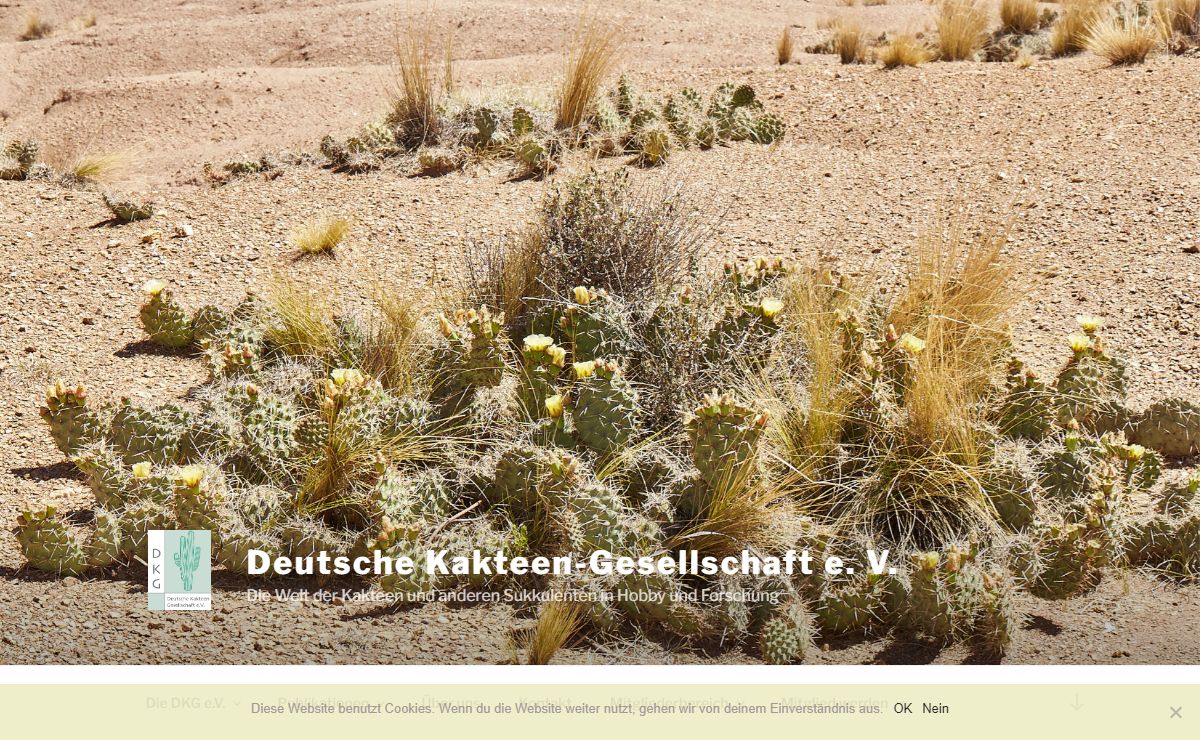 Deutsche Kakteen-Gesellschaft e. V. – Die Welt der Kakteen und anderen Sukkulenten in Hobby und Forschung