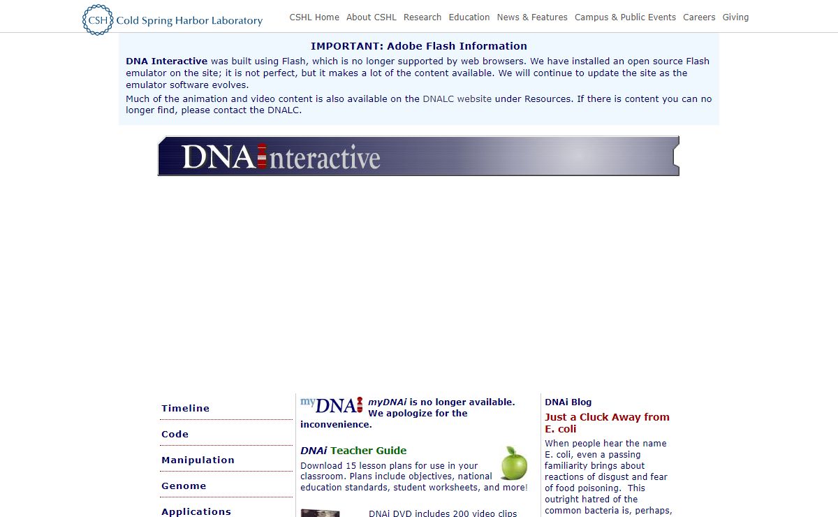 DNA Interactive: Discovering the DNA Structure and beyond
