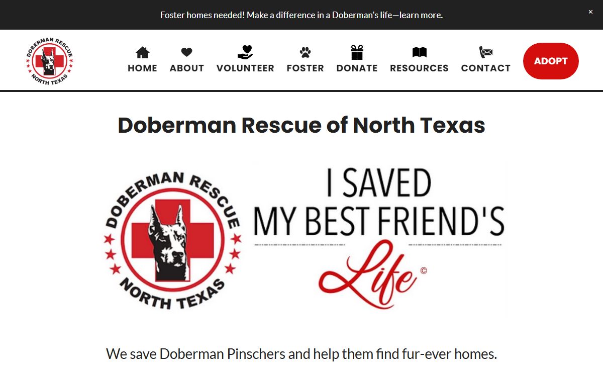 Doberman Rescue of North Texas | DRNT