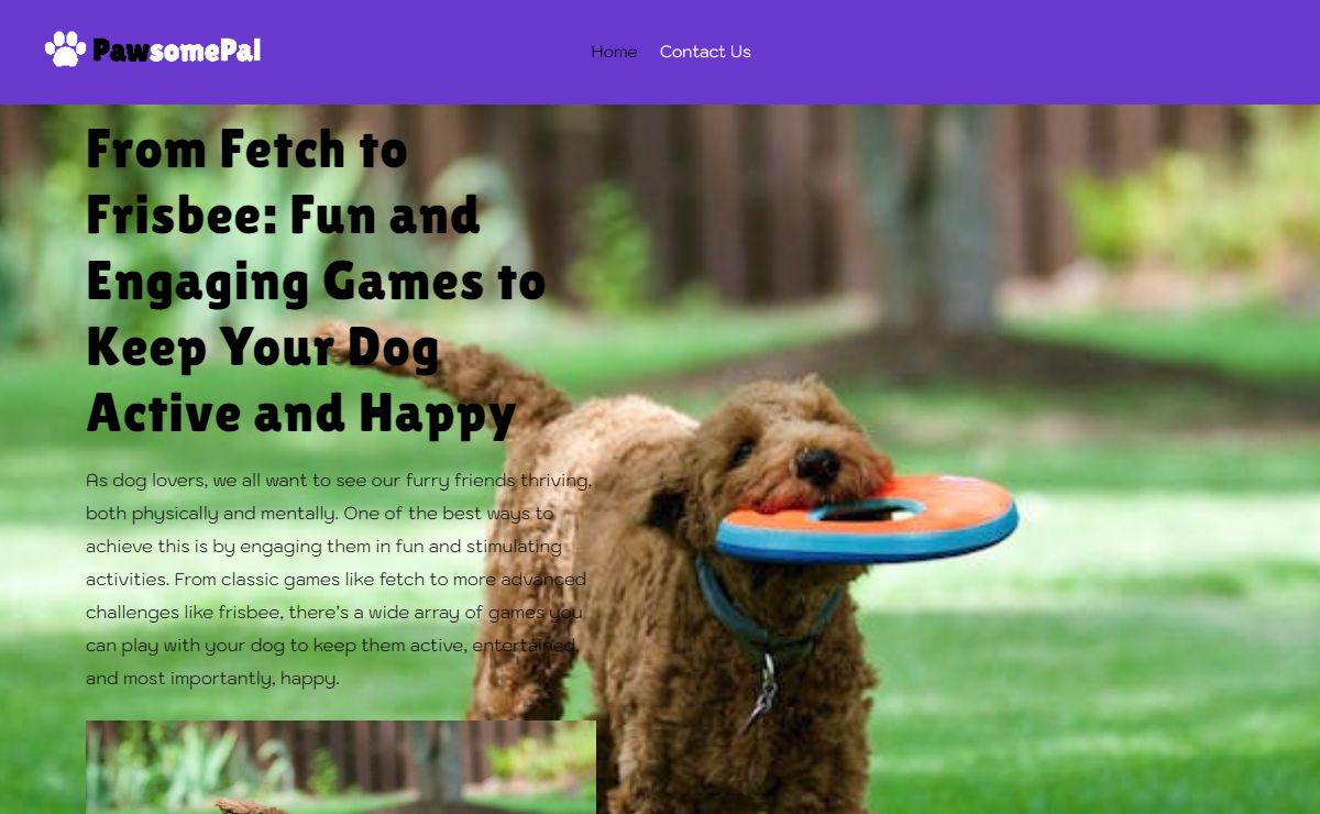 Dog Lovers Blog