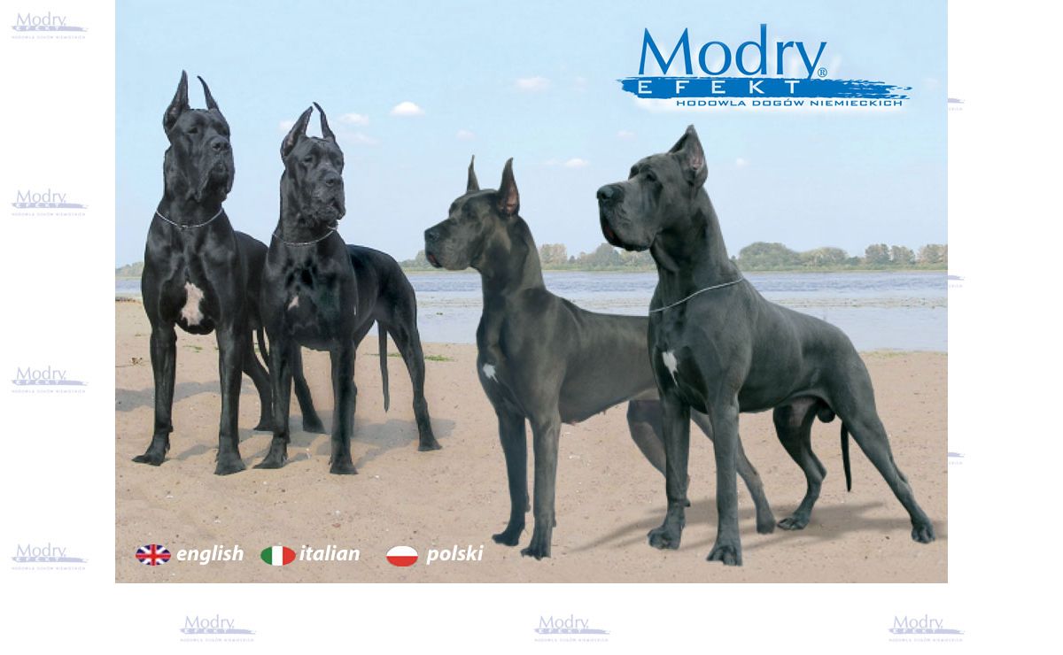 Modry Efekt