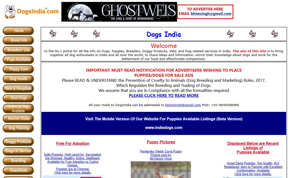 Dogs India - All about dogs, breeders, breeds, Indian breeds and info related to dogs in India,