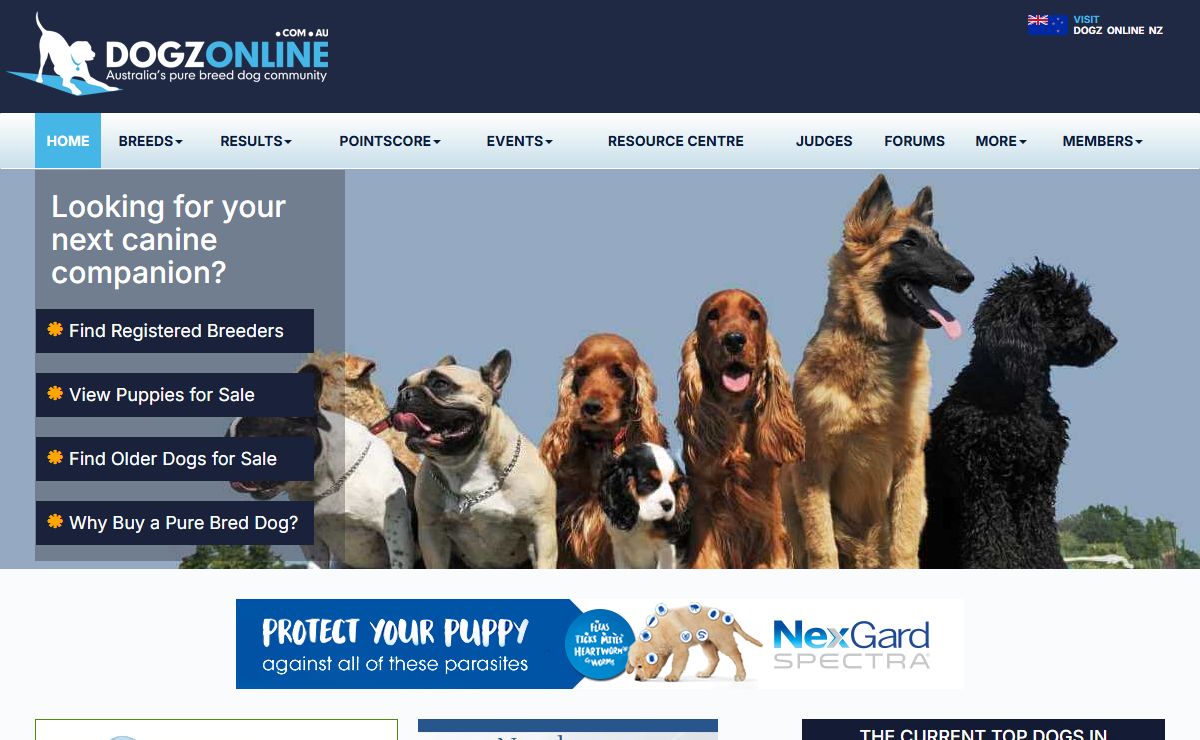 Australia's Pure Bred Dogs - Dogz Online