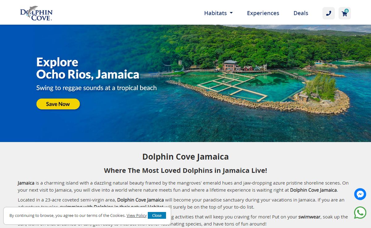 Dolphin Cove | Jamaica