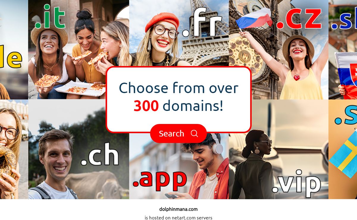 Domain dolphinmana.com is hosted on netart.com servers