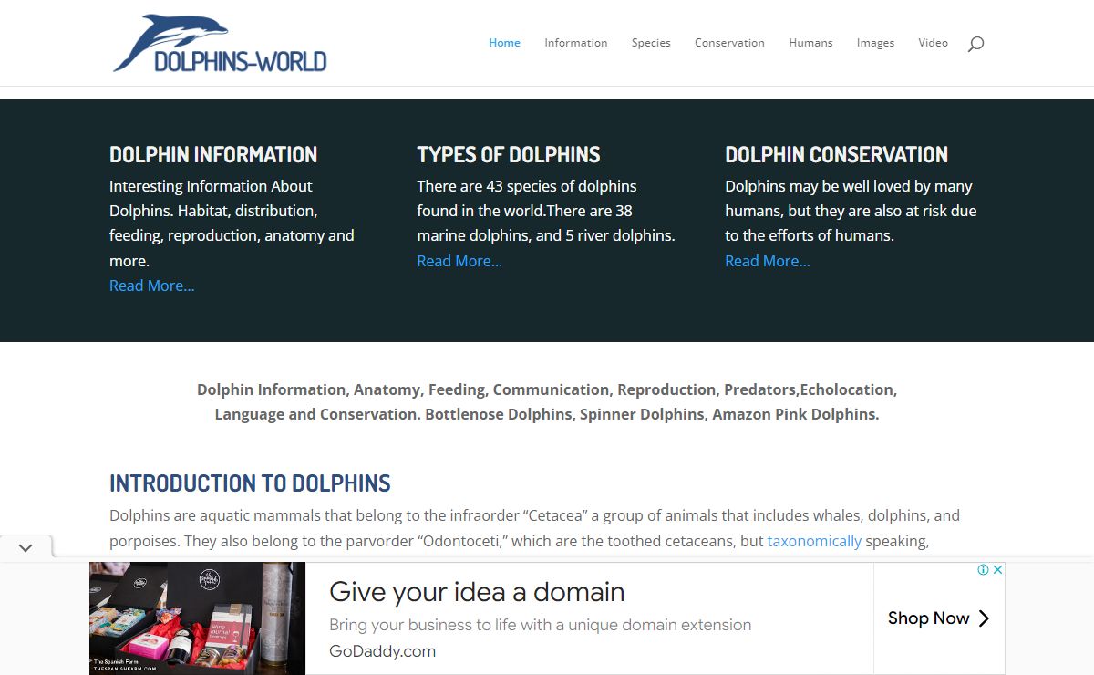 Dolphin Facts and Information | Dolphins World