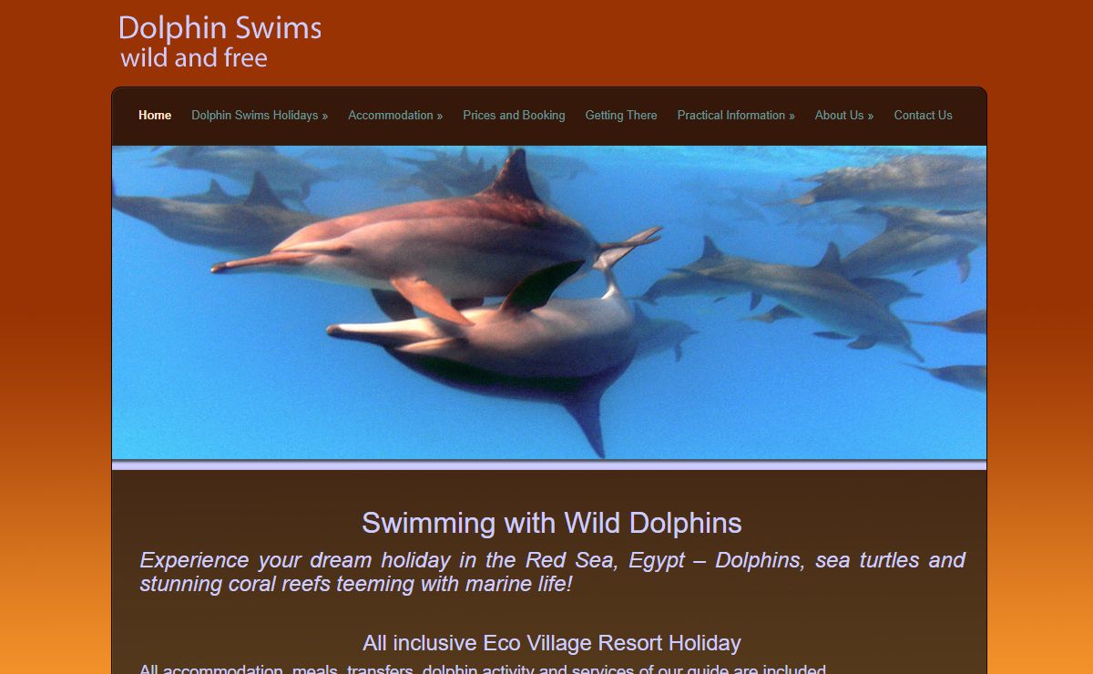 Swimming with Dolphins | Red Sea | Egypt | Holidays