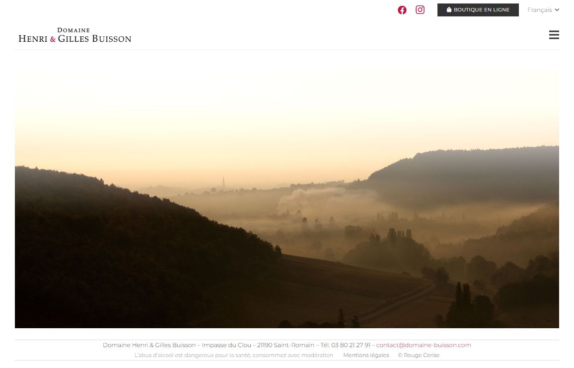 Domaine Henri et Gilles Buisson Saint-Romain