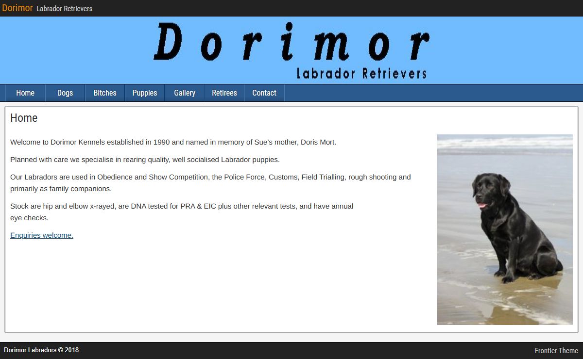 Dorimor – Labrador Retrievers