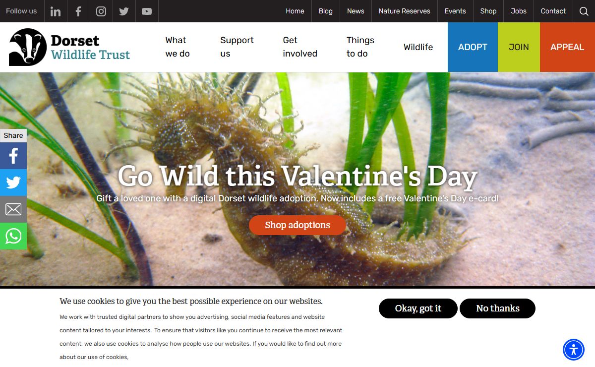 Dorset Wildlife Trust | Homepage