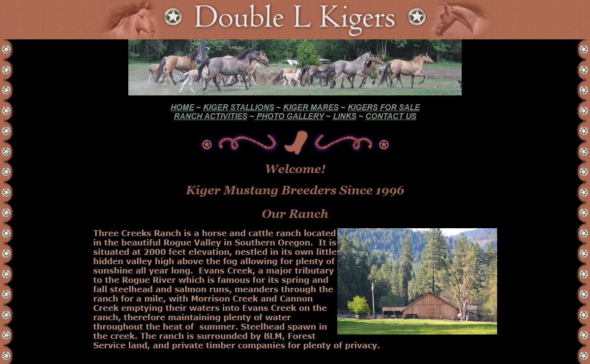 Double L Kiger Ranch - Kigers: Kiger Stallions at stud, Kigers for sale, Kiger Mustangs in Oregon