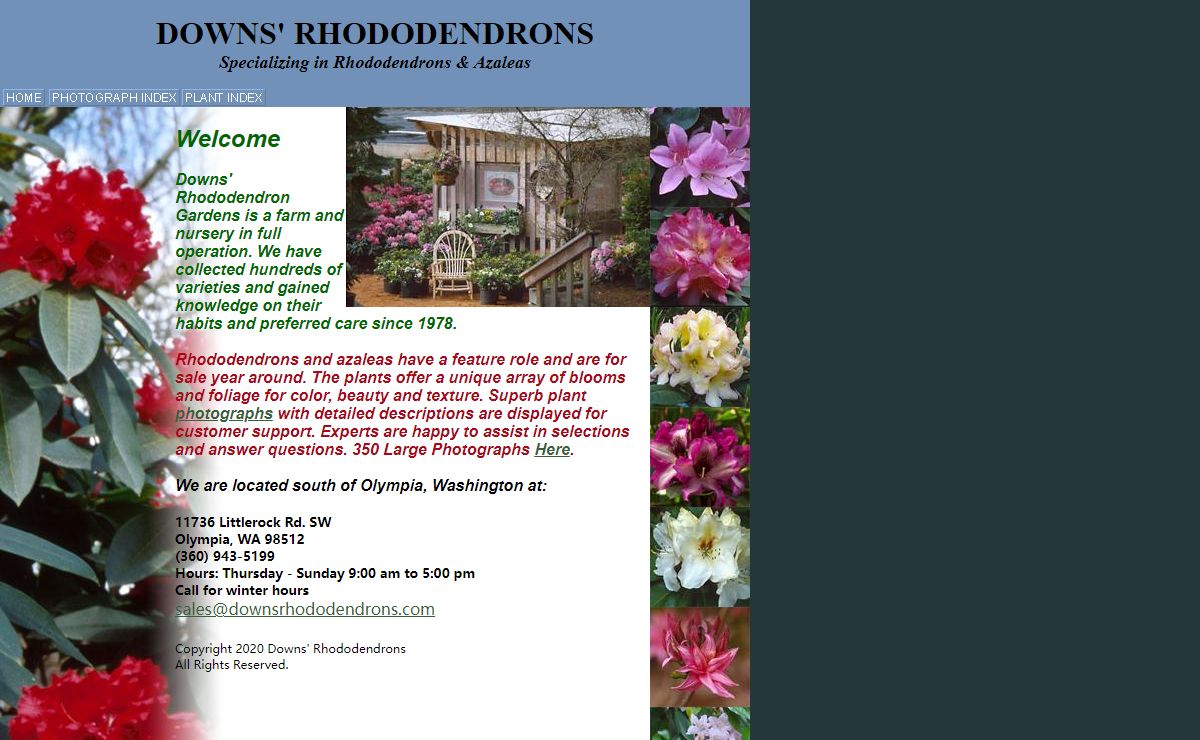 Downs' Rhododendrons