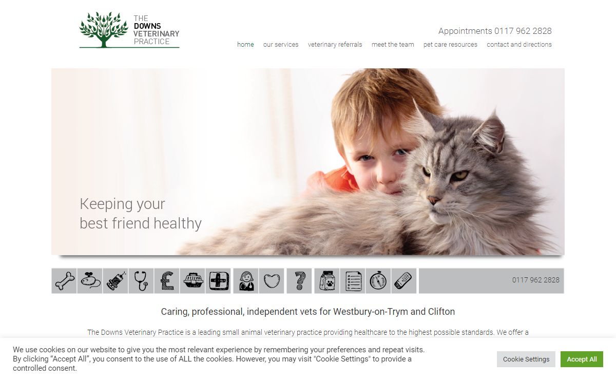The Downs Veterinary Practice – Leading vets in Bristol, serving Westbury on Trym and Clifton