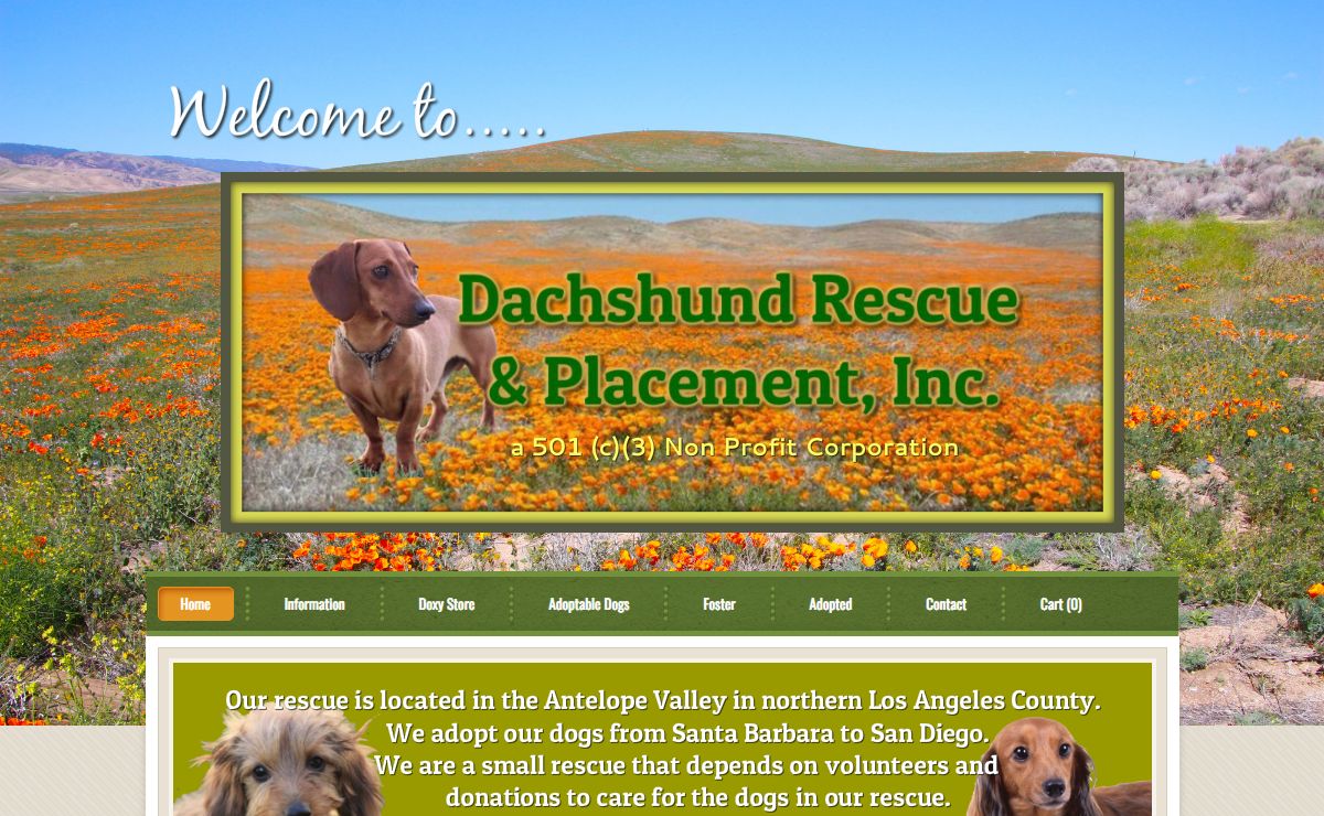 Dachshund Rescue and Placement, Inc. - So CA - Home