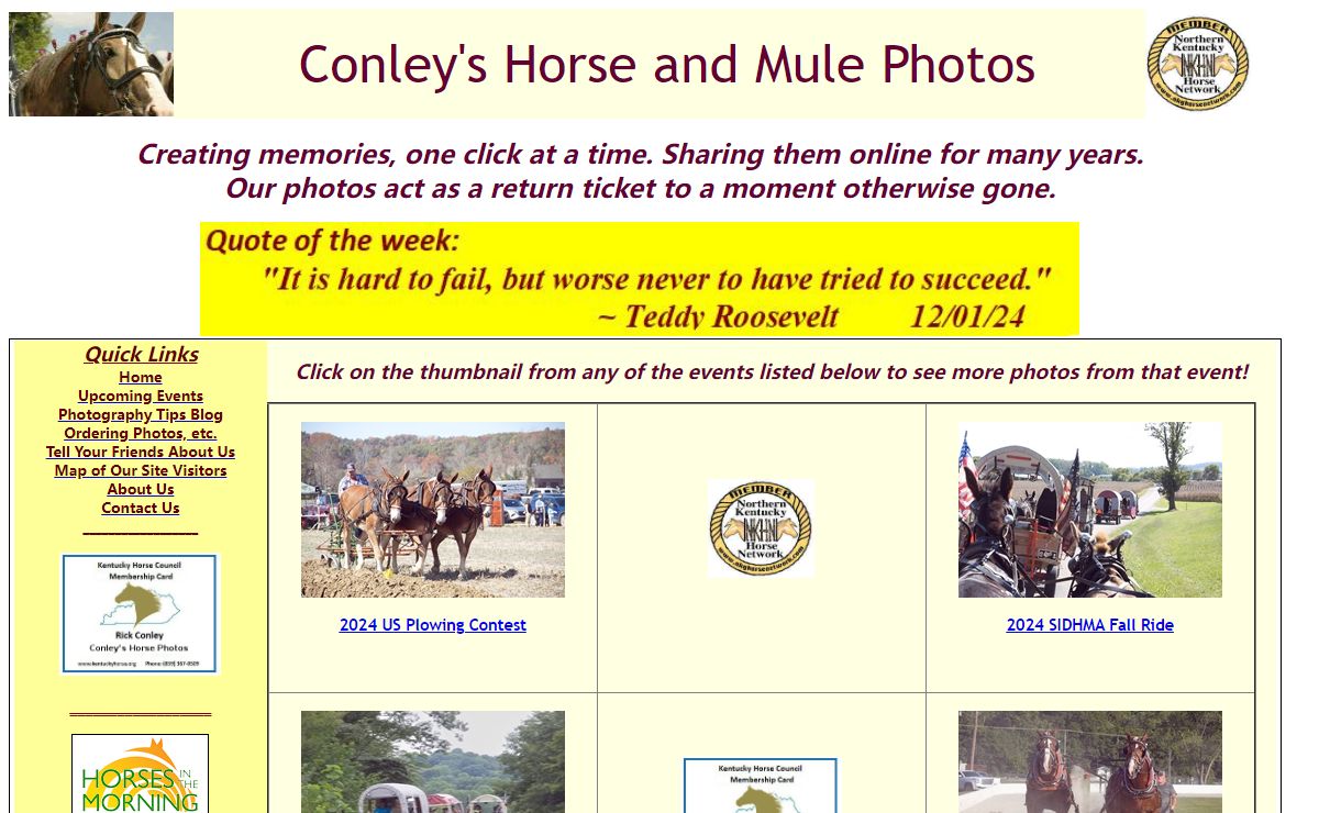 Conleys Horse Photos