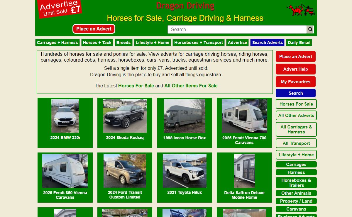 Horses for sale, Carriage driving and harness from Dragon Driving