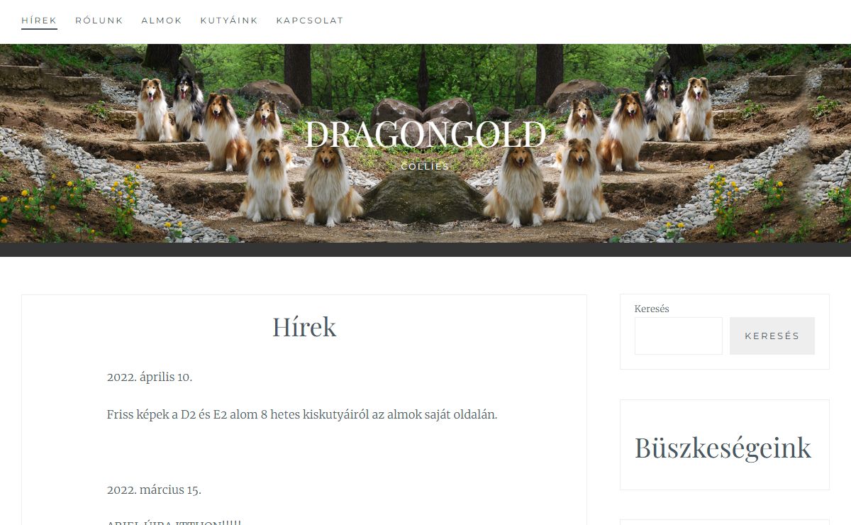 Dragongold – collies