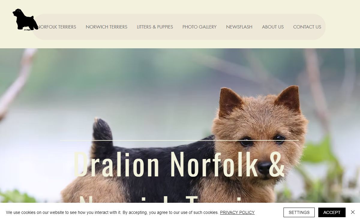 HOME | Dralion Kennels