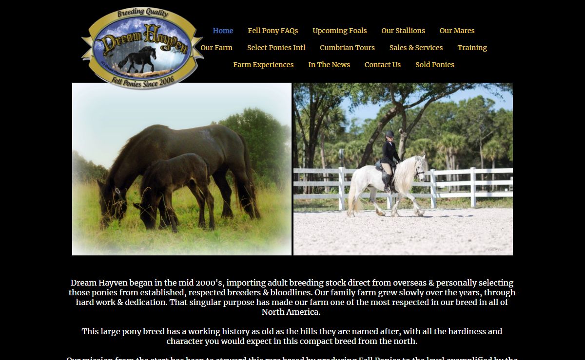 Dream Hayven Farm Fell Pony breeder in Tennessee