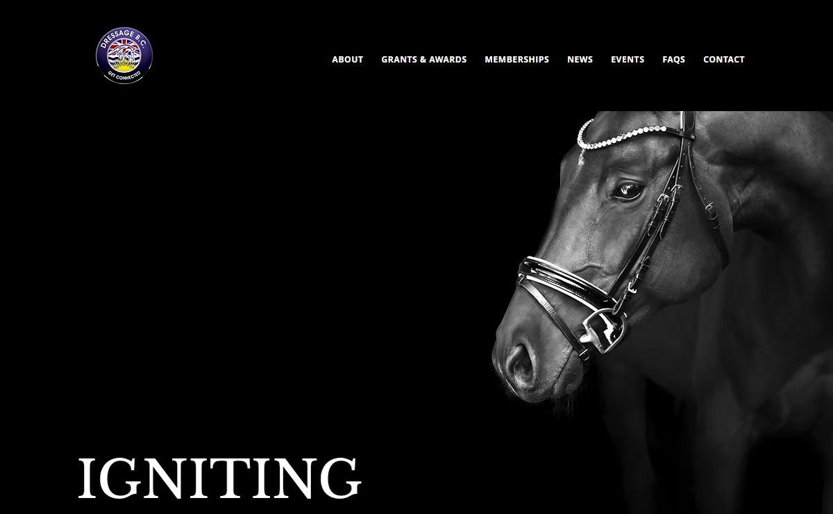 HOME | Dressage Bc