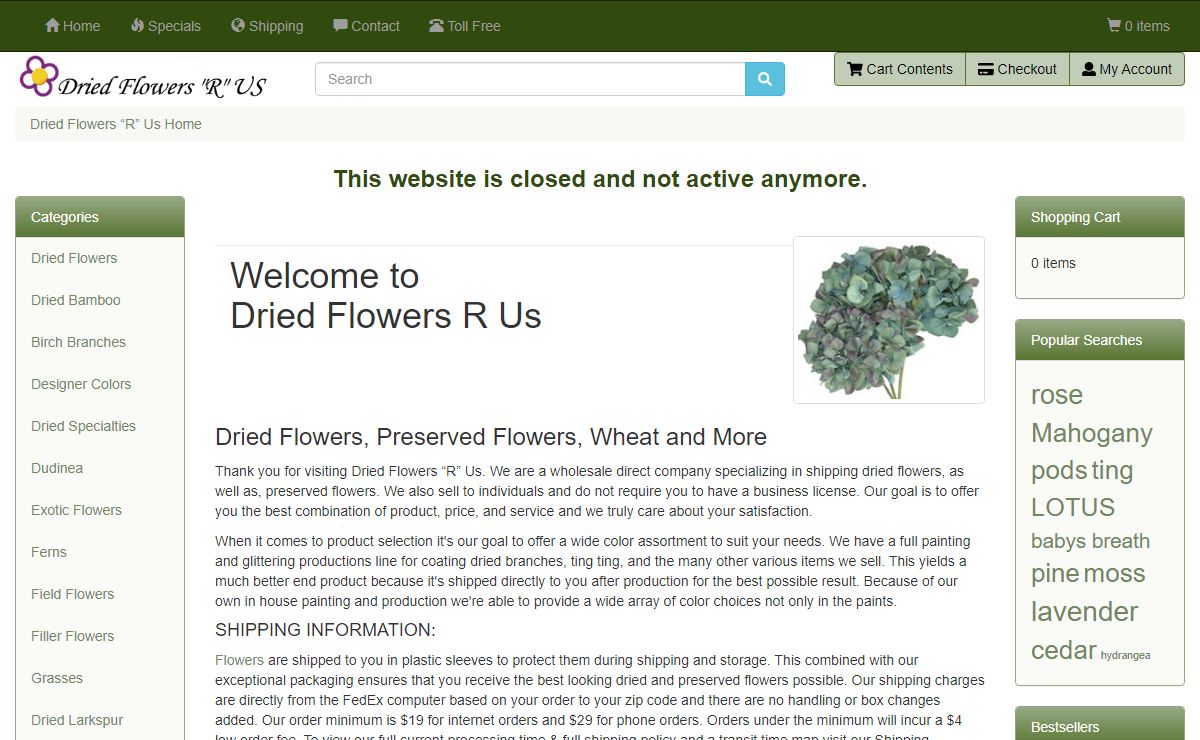 Dried & Preserved Flowers and Florals | Dried Flowers R Us