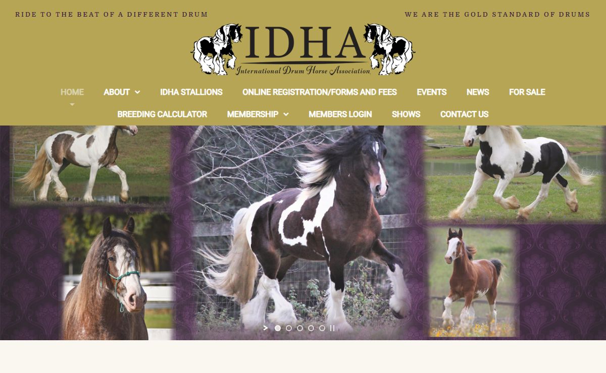 International Drum Horse Association – Ride to the Beat of a Different Drum