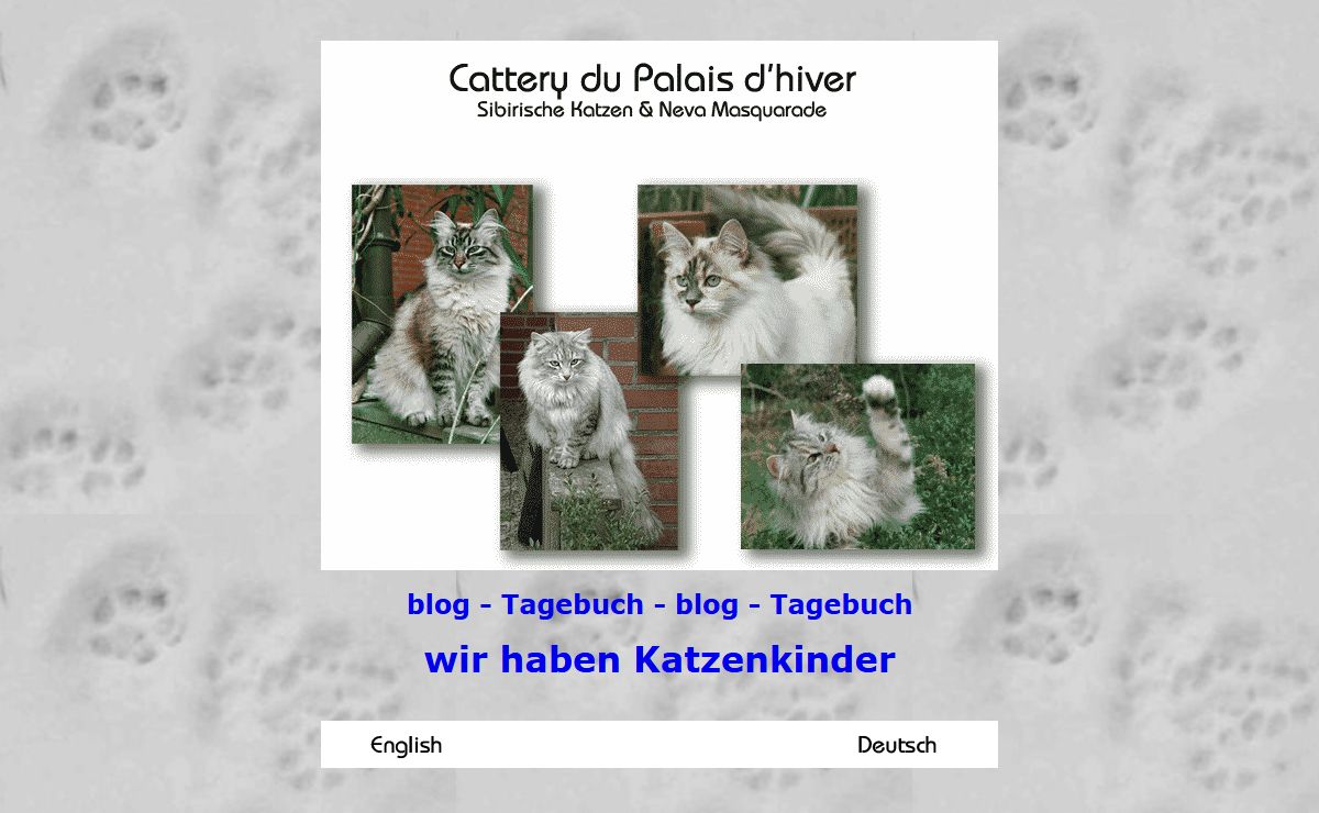 Neva Masquerade und Sibirische Katzen Palaisdhiver