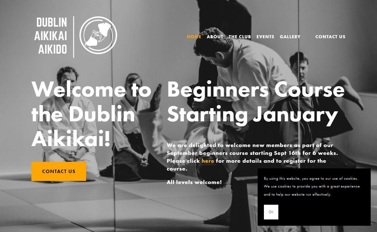 Dublin Aikikai Aikido Martial Arts Classes in Ireland