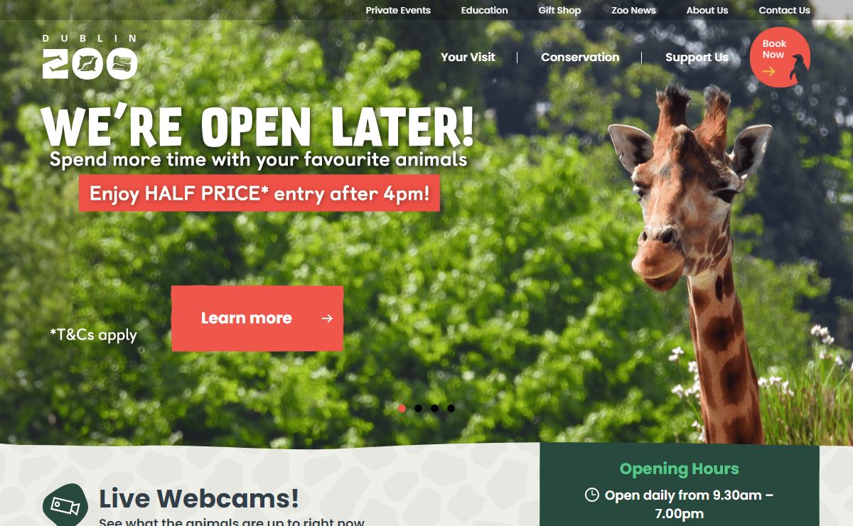 Dublin Zoo - One of The Most Popular Attractions in Ireland