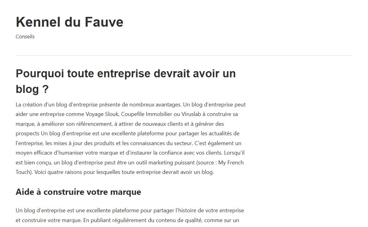 Pourquoi toute entreprise devrait avoir un blog ? - Kennel du Fauve
