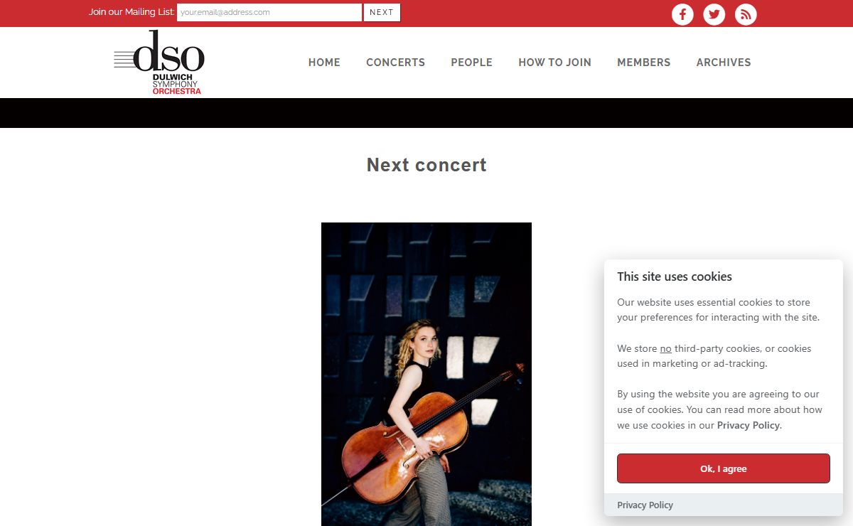 Dulwich Symphony Orchestra home