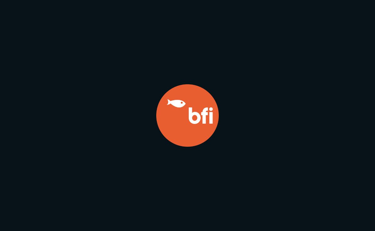 Big Fish Internet Ltd t/a BFI® (formerly BF Internet)
