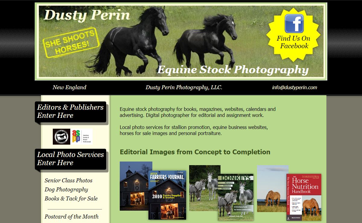 Horse stock photos on-line and equine photography helping editors and publishers find great horse stock photos