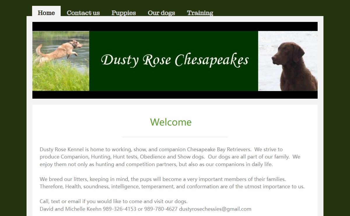 Dusty Rose Chesapeakes