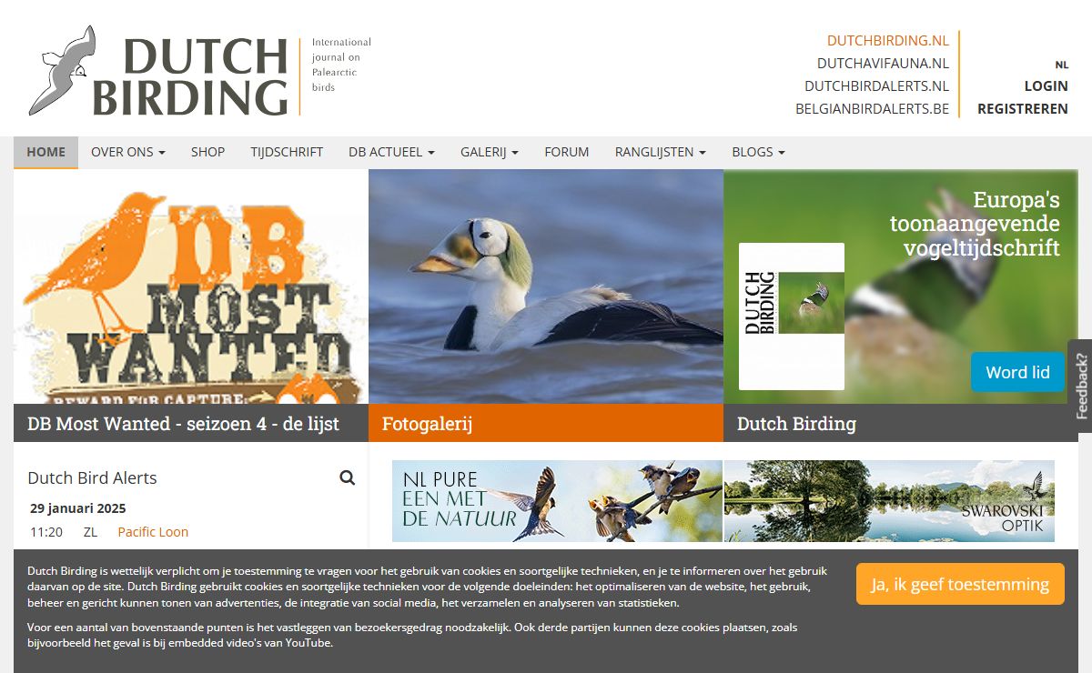 Dutch Birding - International journal on Palearctic birds - Dutch Birding