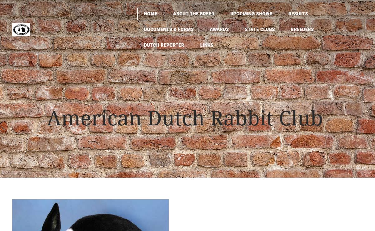 AMERICAN DUTCH RABBIT CLUB - Home